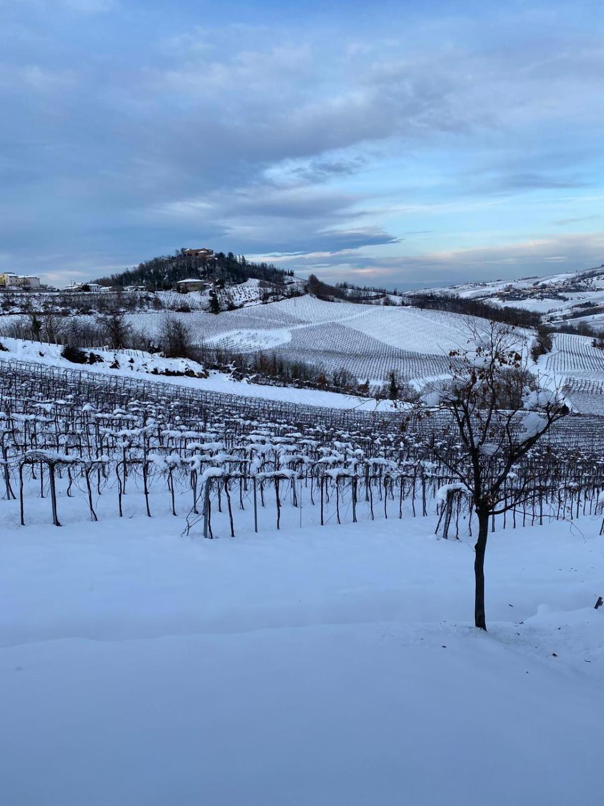 Farm stay Poggiacolle Montecalvo Versiggia